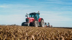 Белгородские аграрии заявили о самой высокой урожайности пшеницы за последние восемь лет