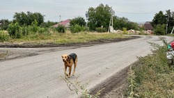 Материал
