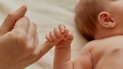 Белгородские родители смогут получить первые документы малыша онлайн