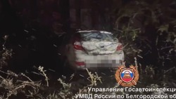 Иномарка опрокинулась в кювет на трассе в Яковлевском округе