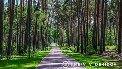 Валентин Демидов рассказал об обновлении общественных пространств Белгорода за год