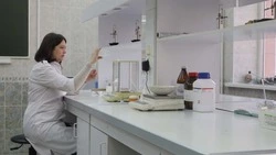 Белгородские учёные разработали раневое покрытие на основе чайного гриба