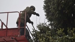 Наряжаемся! В Яковлевском округе провели работы по монтажу новогодней иллюминации