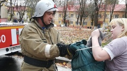 Яковлевские спасатели помогли снять испуганную кошку с дерева в городе Строителе