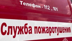 350 человек эвакуировали в Белгороде из ТРЦ «МегаГринн»