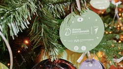 Президент Владимир Путин исполнит новогоднюю мечту юной белгородки  