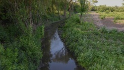 Рабочие очистили один километр русла реки Гостёнка в Белгороде