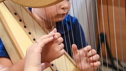Почти 24 тысячи белгородских детей посещают школы искусств 