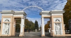 Лабиринты из кустарников и деревьев появятся в Центральном парке Белгорода