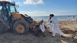  Они спасают море. Наш спецкор побывал в зоне ликвидации экологической катастрофы в Анапе