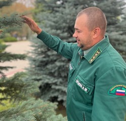 Директор Яковлевского лесничества Андрей Ерёмин: «Человеческий фактор уже трудно не замечать»