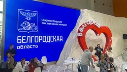 Белгородские специалисты приняли участие в Дне Госуслуг на выставке-форуме «Россия»