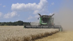 80 центнеров с га составила средняя урожайность озимой пшеницы в КФХ Стрельцова