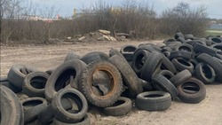 Свалку автомобильных шин и автопокрышек обнаружили в Строителе 