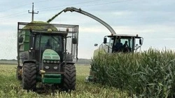 Вячеслав Гладков поблагодарил белгородских аграриев за героический труд