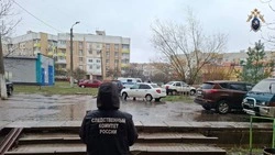 Следователи завершили расследование уголовного дела об убийстве в Строителе 