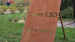 Вячеслав Гладков сообщил об открытии сквера СВО в Дубовом 