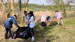 Порядка 2,7 тысячи белгородцев приняли участие во Всероссийском субботнике