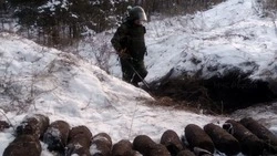 297 боеприпасов времён ВОВ обнаружили в старооскольском лесу 
