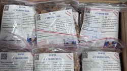 Активисты белгородских Центров общения старшего поколения помогли участникам СВО