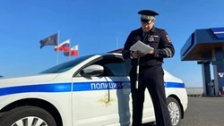 317 ДТП произошло в Белгородской области с начала 2025 года