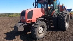 Аграрии приступили к севу озимых в Белгородской области 