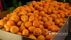 Сельскохозяйственная ярмарка пройдёт в Белгороде 11 января