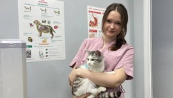 Айболит из 21 века. Ветеринарный врач Ангелина Шатрова - о спасении раненых в ходе СВО животных 