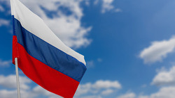 ВЦИОМ выяснил главную национальную цель россиян