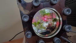 Белгородские учёные запатентовали устройство для выращивания растений в космосе