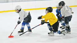 Юные спортсмены встретили День хоккея на ледовой арене «Серебряный лёд» города Строителя