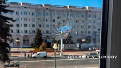 В результате падения беспилотника в Белгороде повреждены жилой дом и мэрия
