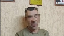 Полицейские задержали укравшего тюльпаны с клумбы в Белгороде 
