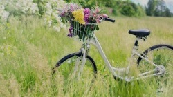 Любители велоспорта смогут внести вклад в озеленение Белгорода в рамках экоакции «ВелоСад»
