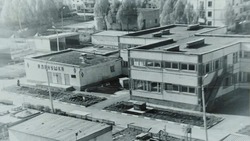 Уникальная система. Детский сад «Алёнушка» отметил 40-летний юбилей со дня своего образования