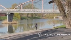 Пешеходный мост в парке Победы Белгорода отремонтируют в 2026 году