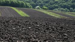 Белгородские фермеры смогут получить субсидии за пять месяцев