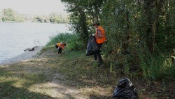 Рабочие очистили от мусора береговую полосу Северского Донца в Белгороде