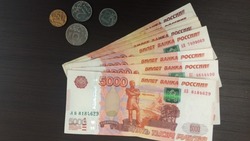 Власти РФ разработали проект закона о компенсации долгов по заработной плате
