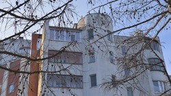 Белгородская область стала лидером в эстафете «Мои финансы»