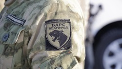 Гладков: Шесть тысяч человек подключились к ТГ-каналу по обнаружению БПЛА