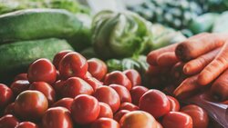 Фермерские хозяйства и ЛПХ Белгородской области помогут закрыть 80% потребности в овощах