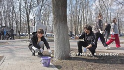 Первый масштабный субботник провели в Белгороде