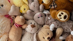 Белгородцы смогут помочь тяжелобольным детям в рамках благотворительной ярмарки игрушек