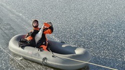 Белгородские спасатели освободили лебедя из ледяного плена