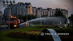 В Белгороде усилили ночной полив городских клумб