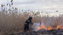 Спасатели зафиксировали 4 случая горения сухой травы в Яковлевском городском округе