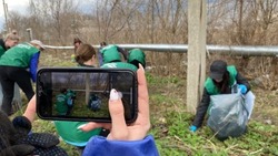 Экологический флешмоб пройдёт в Белгородской области в четвёртый раз 