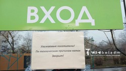 Два открытых катка закрыли в Белгороде из-за потепления 