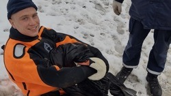 Белгородские спасатели вновь спасли лебедей на Везёлке 